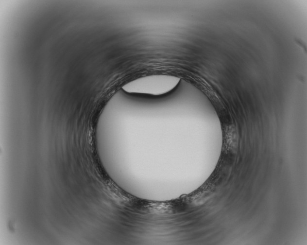 X0000097290667200802151100