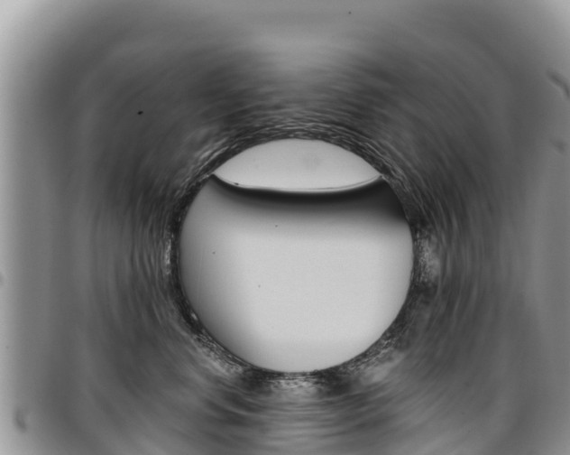 X0000097290668200802151100