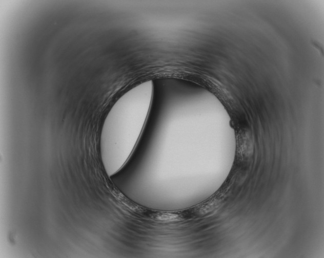 X0000097290669200802151100