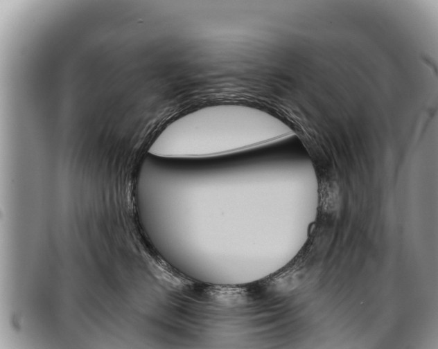 X0000097290670200802151100