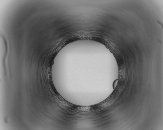 X0000097290671200802151100