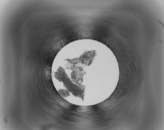 X0000097290672200802151100