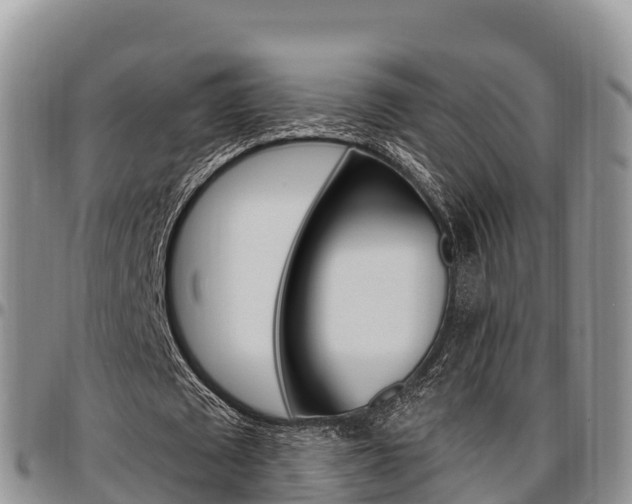 X0000097290673200802151059