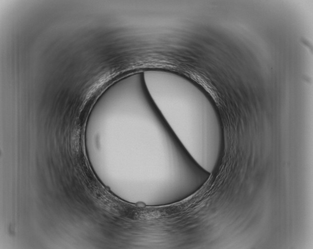 X0000097290675200802151059
