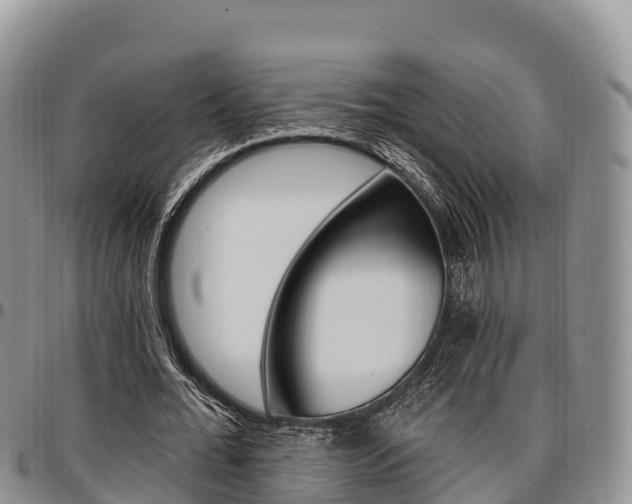 X0000097290676200802151059