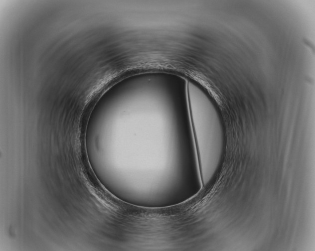 X0000097290677200802151059