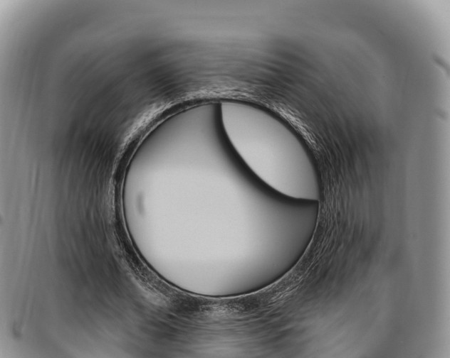 X0000097290678200802151059