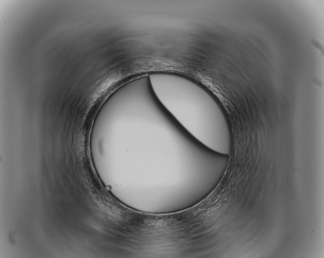 X0000097290679200802151059