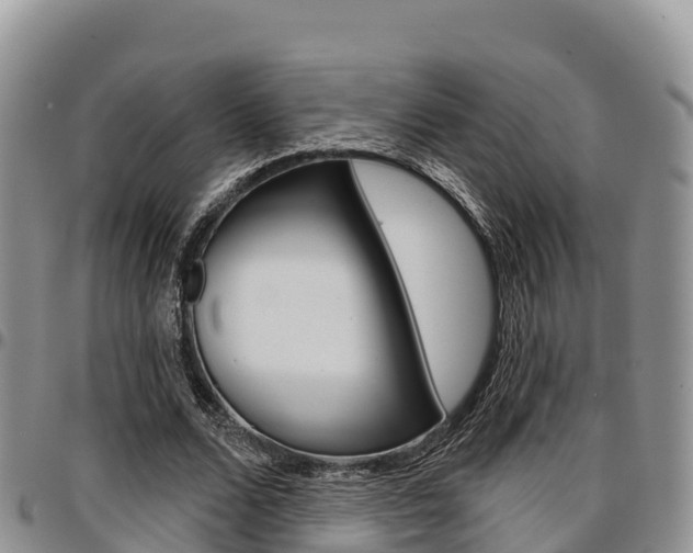 X0000097290680200802151059