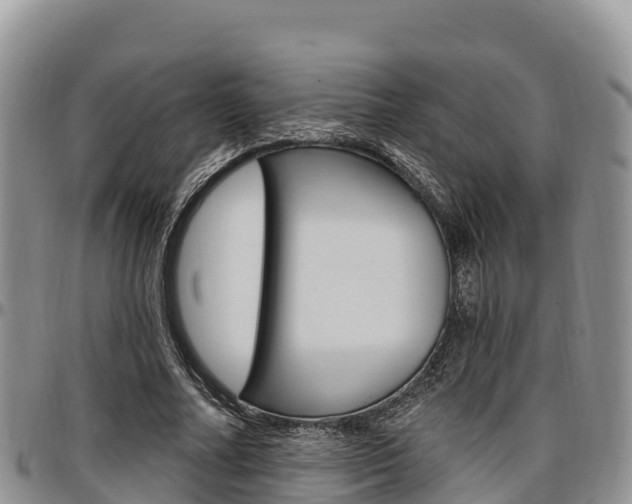 X0000097290682200802151059