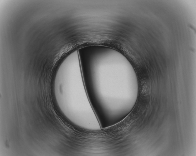 X0000097290685200802151059