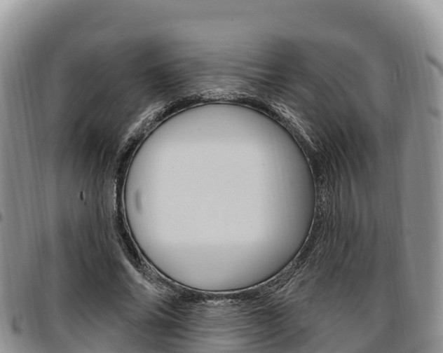 X0000097290686200802151059