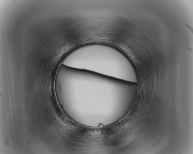 X0000097290687200802151059