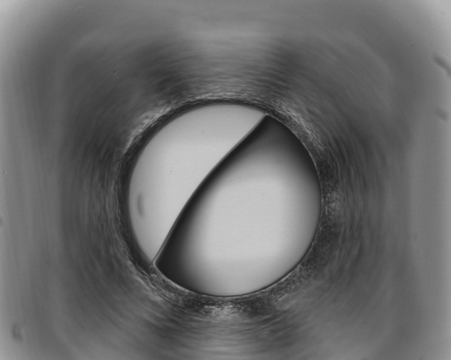 X0000097290688200802151059