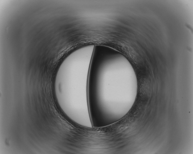 X0000097290689200802151059