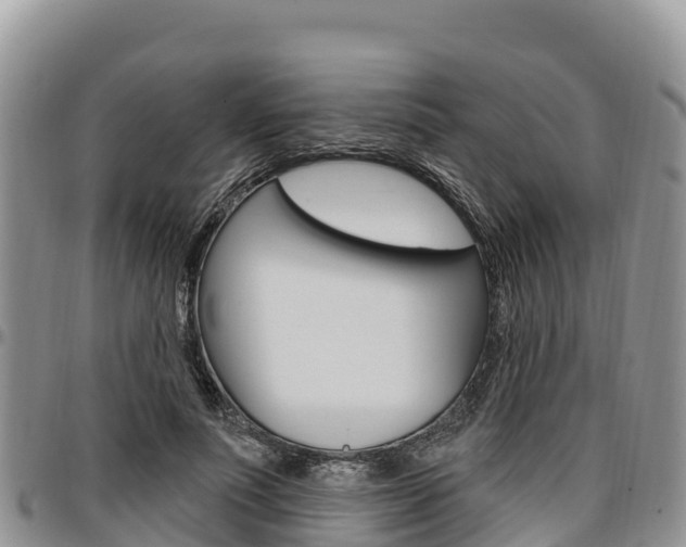 X0000097290691200802151059