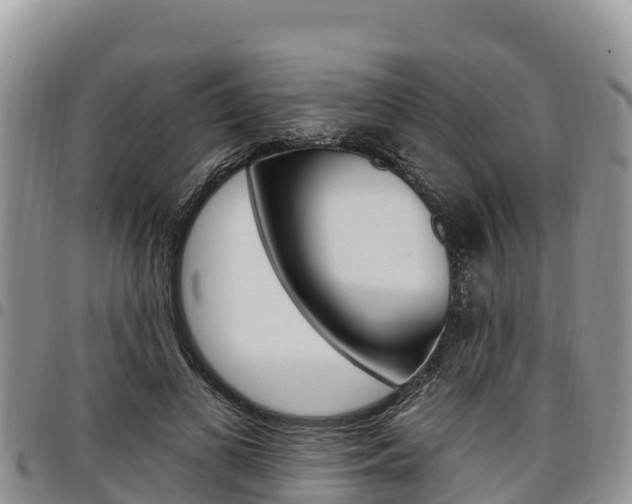 X0000097290693200802151059