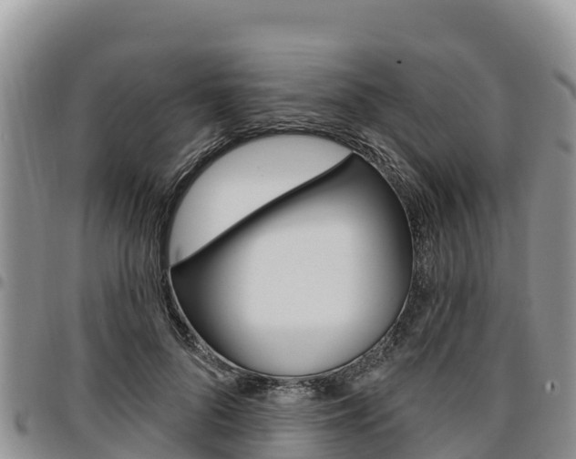 X0000097290696200802151059