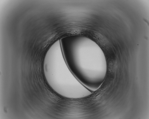 X0000097290697200802151059