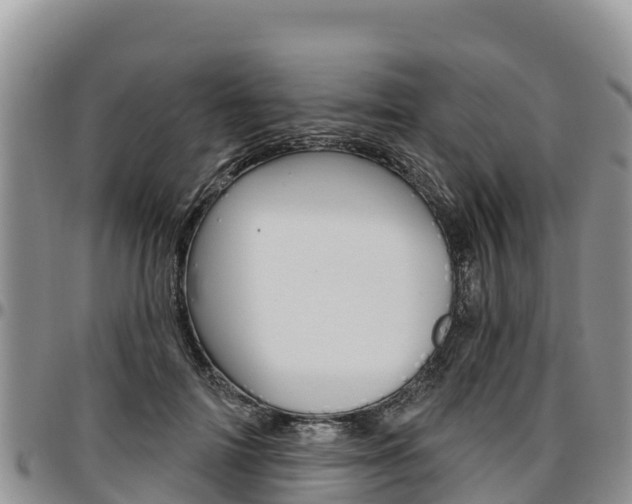 X0000097290698200802151059