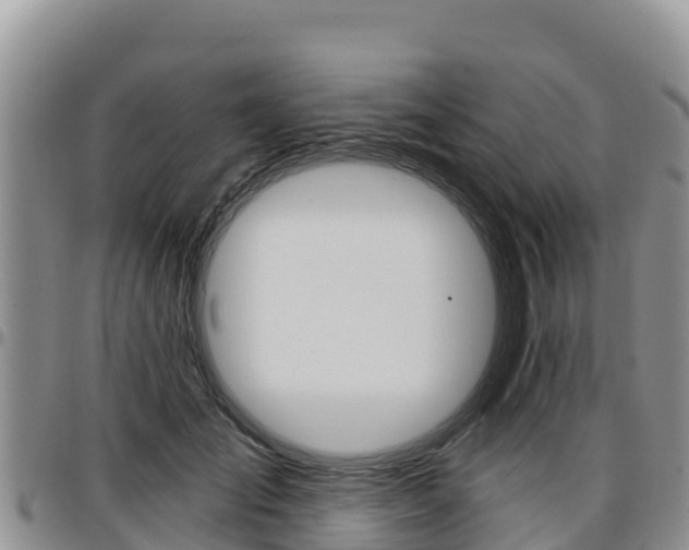 X0000097290701200802151059