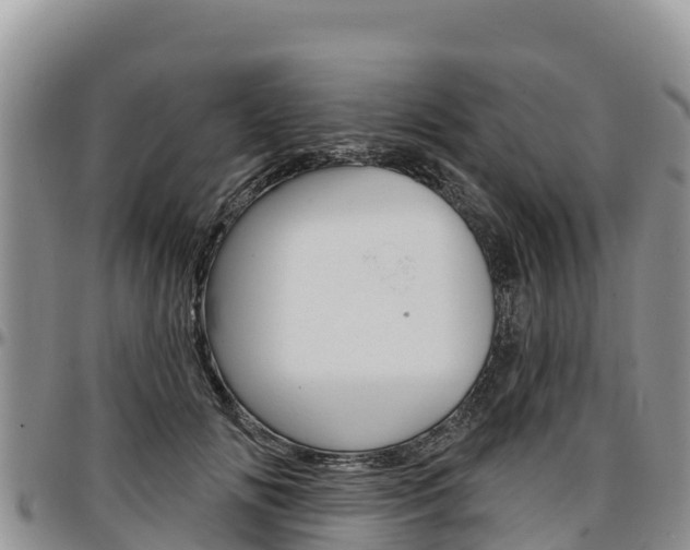 X0000097290702200802151059