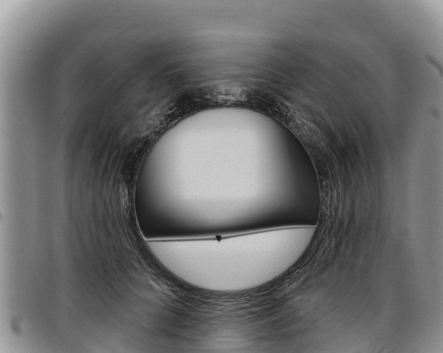 X0000097290704200802151059