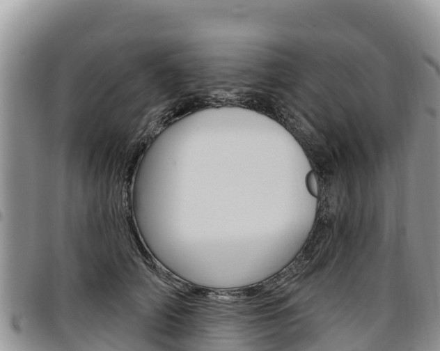 X0000097290706200802151059