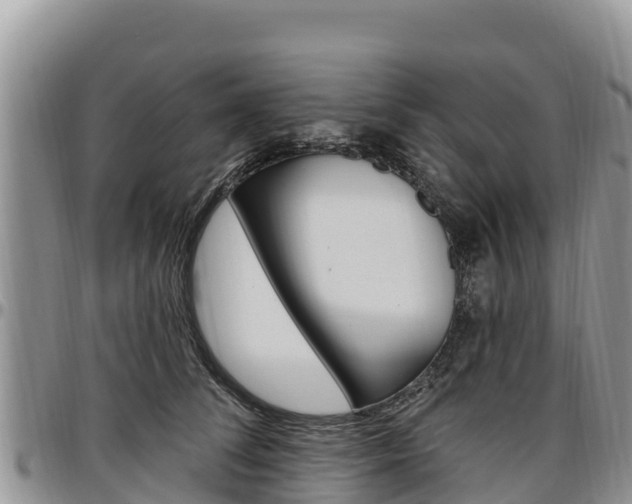 X0000097290708200802151059