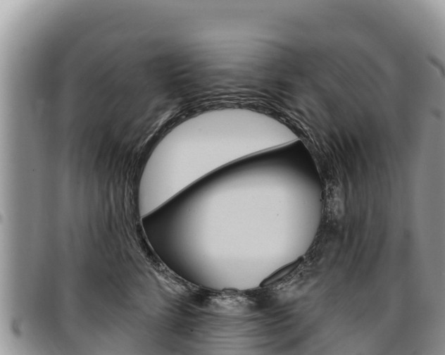 X0000097290712200802151058