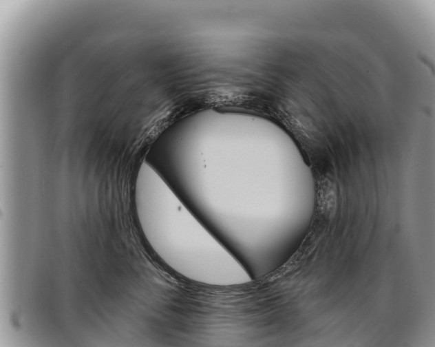 X0000097290716200802151058