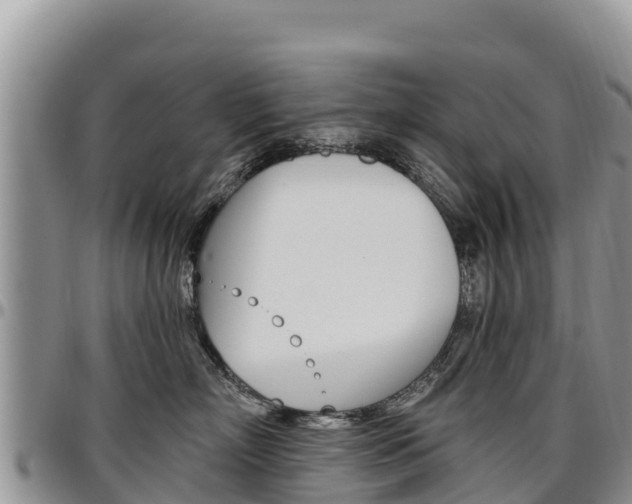 X0000097290718200802151058