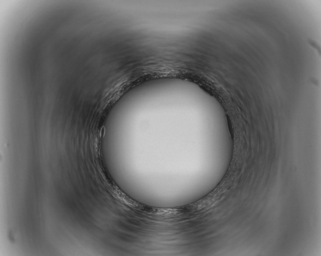 X0000097290720200802151058