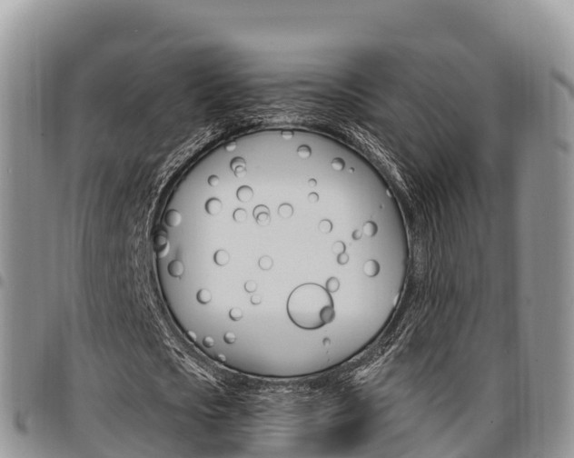 X0000097290721200802151058