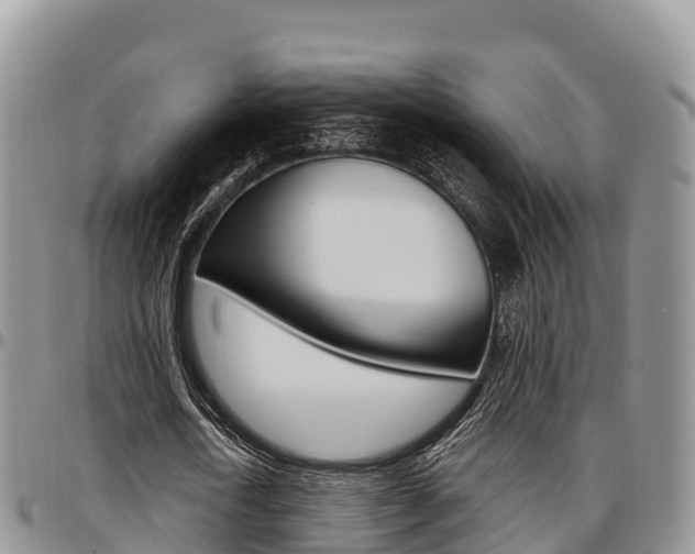 X0000097290722200802151058