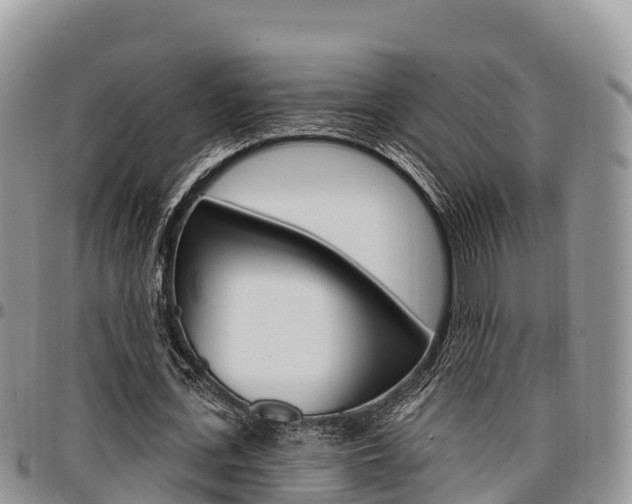 X0000097290723200802151058