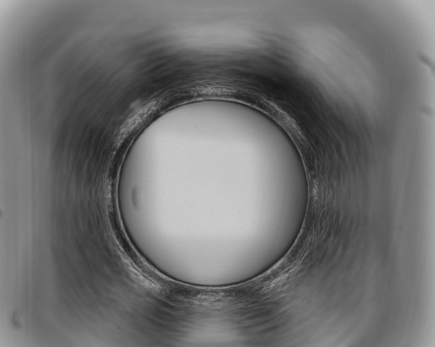 X0000097290725200802151058