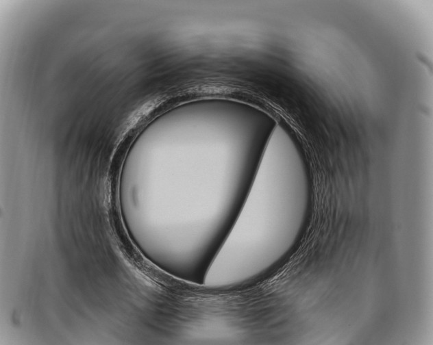 X0000097290726200802151058