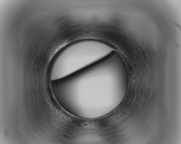 X0000097290727200802151058