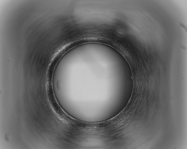X0000097290728200802151058