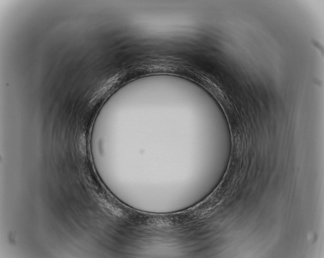 X0000097290729200802151058