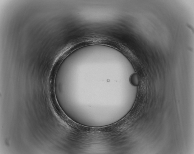 X0000097290730200802151058