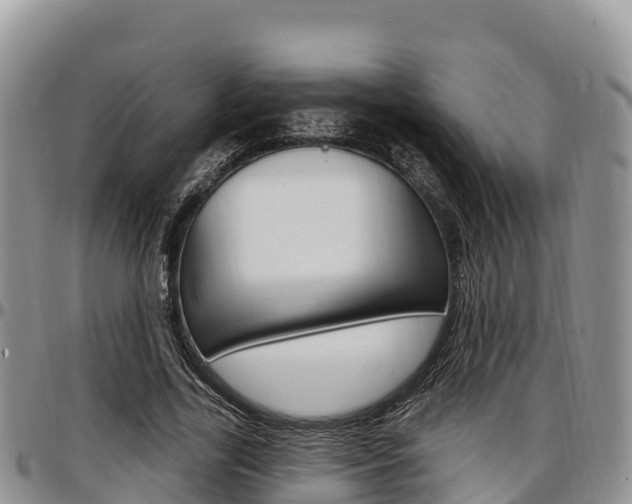 X0000097290731200802151058