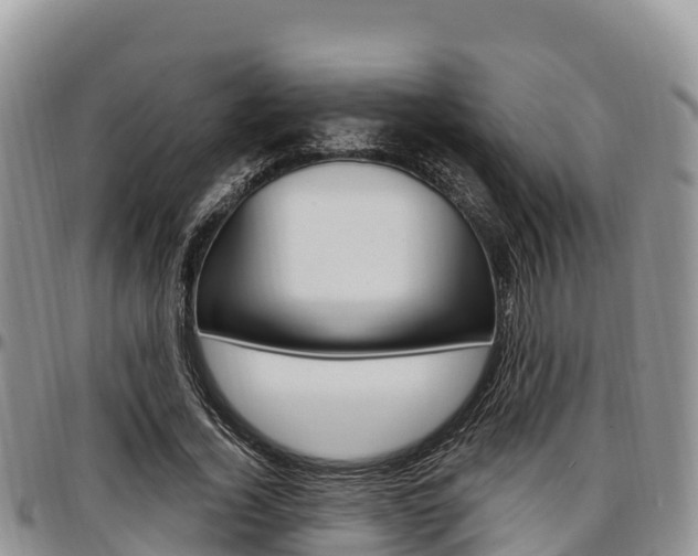 X0000097290732200802151058