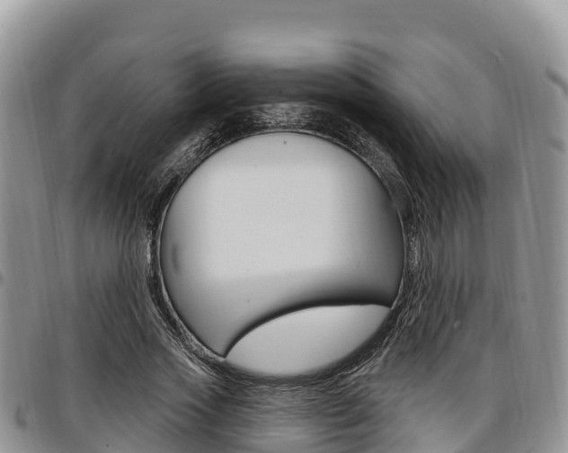 X0000097290733200802151058