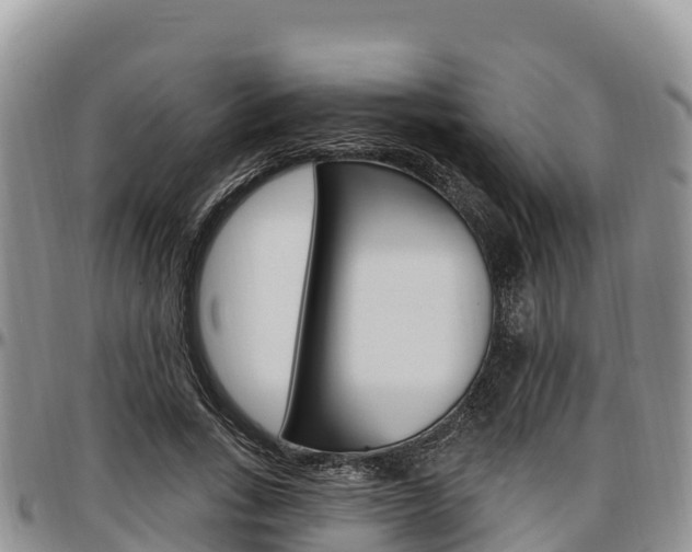 X0000097290735200802151058