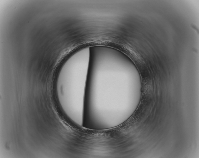 X0000097290736200802151058