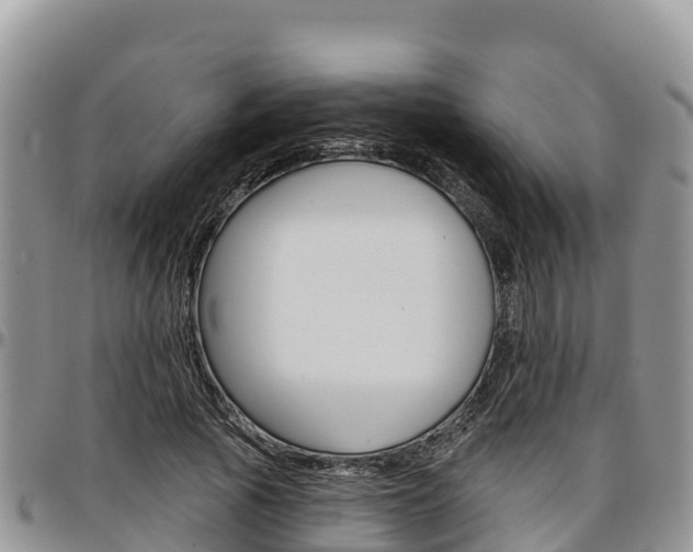X0000097290737200802151058