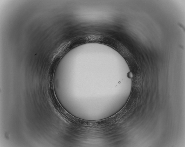 X0000097290738200802151058