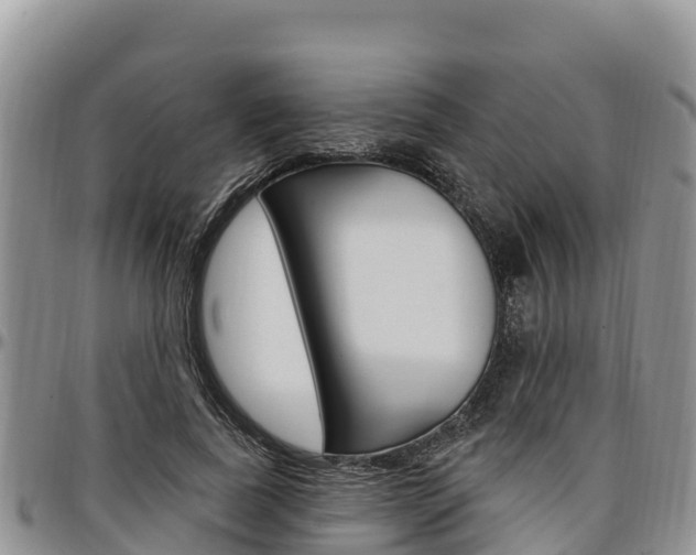 X0000097290739200802151058
